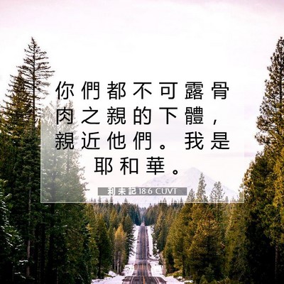 Picture 07 - 利 未 記 18:6 CUVT - 你 們 都 不 可 露 骨 肉 之 親 的 下 - Bible Verse Picture