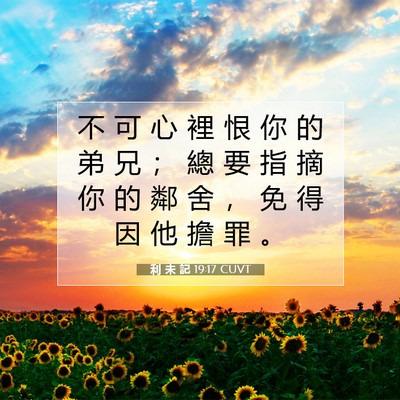Picture 07 - 利 未 記 19:17 CUVT - 不 可 心 裡 恨 你 的 弟 兄 ； 總 要 - Bible Verse Picture