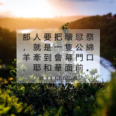 Picture 07 - 利 未 記 19:21 CUVT - 那 人 要 把 贖 愆 祭 ， 就 是 一 隻 - Bible Verse Picture