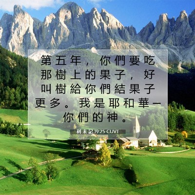 Picture 07 - 利 未 記 19:25 CUVT - 第 五 年 ， 你 們 要 吃 那 樹 上 的 - Bible Verse Picture