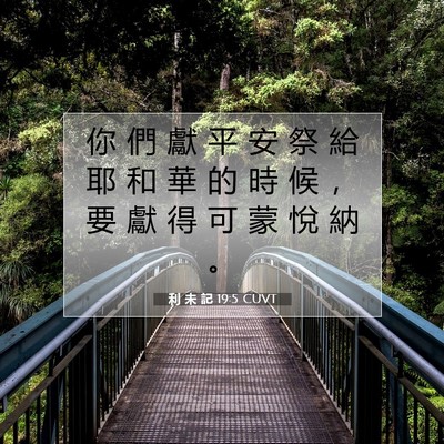 Picture 07 - 利 未 記 19:5 CUVT - 你 們 獻 平 安 祭 給 耶 和 華 的 時 - Bible Verse Picture