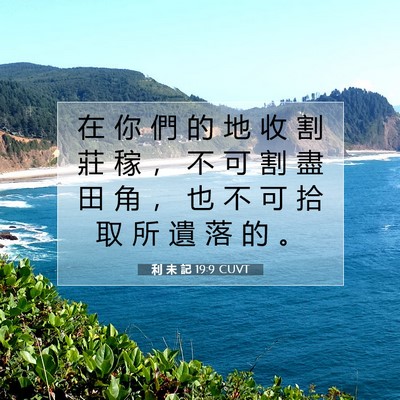 Picture 07 - 利 未 記 19:9 CUVT - 在 你 們 的 地 收 割 莊 稼 ， 不 可 - Bible Verse Picture