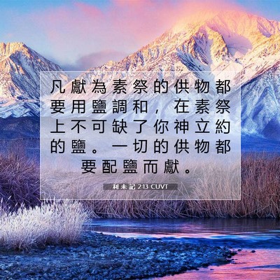 Picture 07 - 利 未 記 2:13 CUVT - 凡 獻 為 素 祭 的 供 物 都 要 用 鹽 - Bible Verse Picture