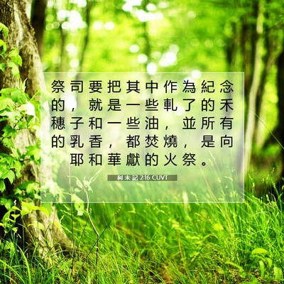Picture 07 - 利 未 記 2:16 CUVT - 祭 司 要 把 其 中 作 為 紀 念 的 ， - Bible Verse Picture