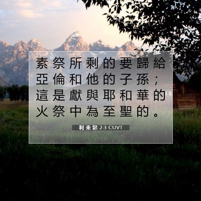 Picture 07 - 利 未 記 2:3 CUVT - 素 祭 所 剩 的 要 歸 給 亞 倫 和 他 - Bible Verse Picture