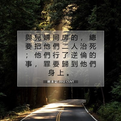 Picture 07 - 利 未 記 20:12 CUVT - 與 兒 婦 同 房 的 ， 總 要 把 他 們 - Bible Verse Picture