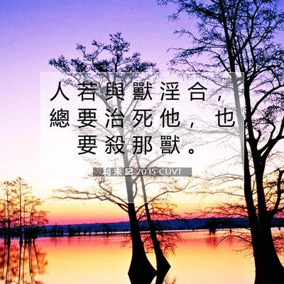 Picture 07 - 利 未 記 20:15 CUVT - 人 若 與 獸 淫 合 ， 總 要 治 死 他 - Bible Verse Picture
