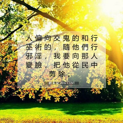 Picture 07 - 利 未 記 20:6 CUVT - 人 偏 向 交 鬼 的 和 行 巫 術 的 ， - Bible Verse Picture