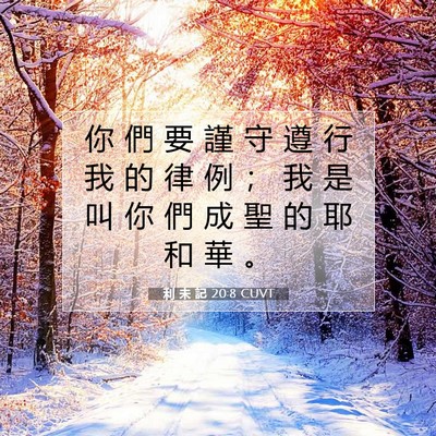 Picture 07 - 利 未 記 20:8 CUVT - 你 們 要 謹 守 遵 行 我 的 律 例 ； - Bible Verse Picture