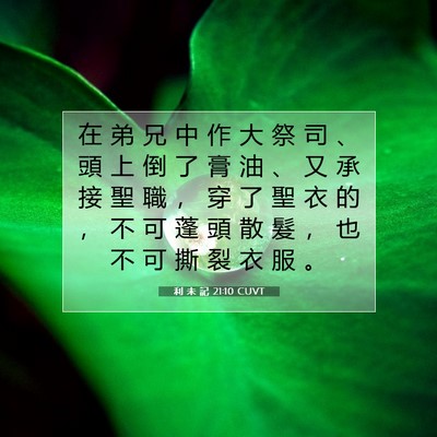 Picture 07 - 利 未 記 21:10 CUVT - 在 弟 兄 中 作 大 祭 司 、 頭 上 倒 - Bible Verse Picture
