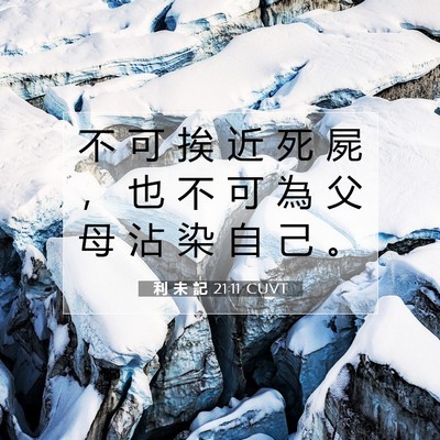 Picture 07 - 利 未 記 21:11 CUVT - 不 可 挨 近 死 屍 ， 也 不 可 為 父 - Bible Verse Picture