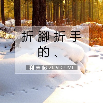 Picture 07 - 利 未 記 21:19 CUVT - 折 腳 折 手 的 - Bible Verse Picture