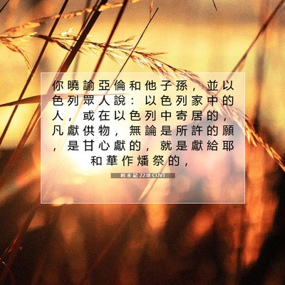 Picture 07 - 利 未 記 22:18 CUVT - 你 曉 諭 亞 倫 和 他 子 孫 ， 並 以 - Bible Verse Picture