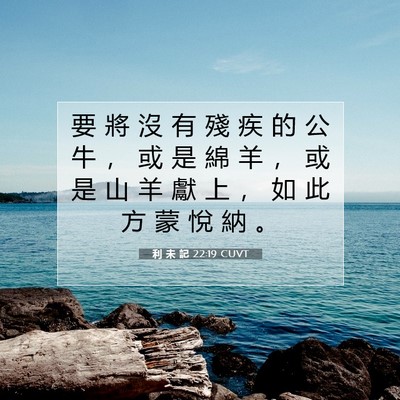 Picture 07 - 利 未 記 22:19 CUVT - 要 將 沒 有 殘 疾 的 公 牛 ， 或 是 - Bible Verse Picture