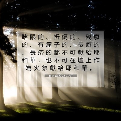 Picture 07 - 利 未 記 22:22 CUVT - 瞎 眼 的 、 折 傷 的 、 殘 廢 的 、 - Bible Verse Picture