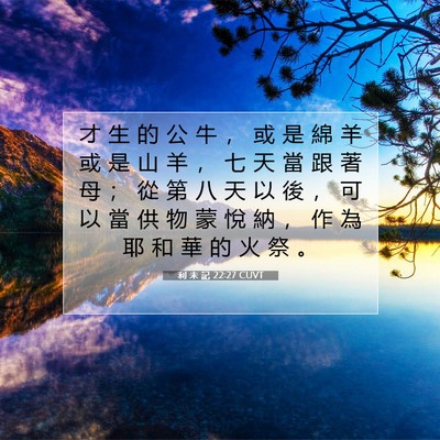 Picture 07 - 利 未 記 22:27 CUVT - 才 生 的 公 牛 ， 或 是 綿 羊 或 是 - Bible Verse Picture