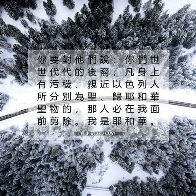 Picture 07 - 利 未 記 22:3 CUVT - 你 要 對 他 們 說 ： 你 們 世 世 代 - Bible Verse Picture