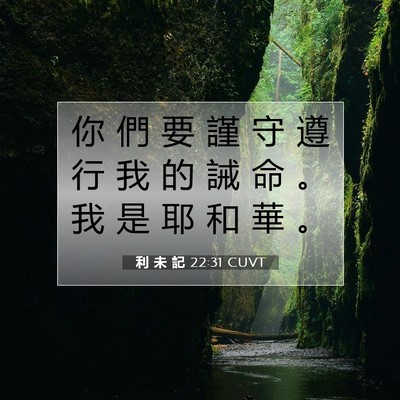 Picture 07 - 利 未 記 22:31 CUVT - 你 們 要 謹 守 遵 行 我 的 誡 命 。 - Bible Verse Picture