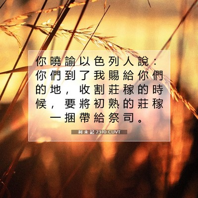 Picture 07 - 利 未 記 23:10 CUVT - 你 曉 諭 以 色 列 人 說 ： 你 們 到 - Bible Verse Picture