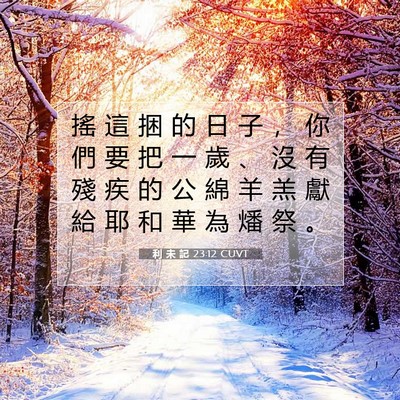 Picture 07 - 利 未 記 23:12 CUVT - 搖 這 捆 的 日 子 ， 你 們 要 把 一 - Bible Verse Picture