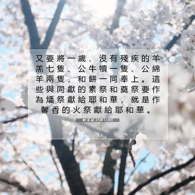 Picture 07 - 利 未 記 23:18 CUVT - 又 要 將 一 歲 、 沒 有 殘 疾 的 羊 - Bible Verse Picture