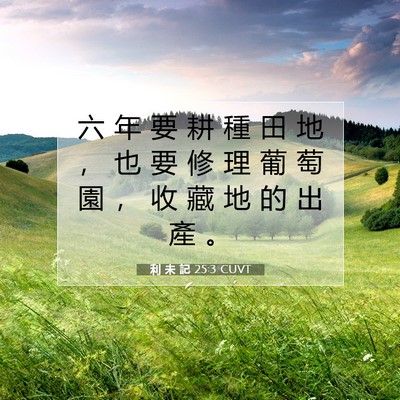 Picture 07 - 利 未 記 25:3 CUVT - 六 年 要 耕 種 田 地 ， 也 要 修 理 - Bible Verse Picture