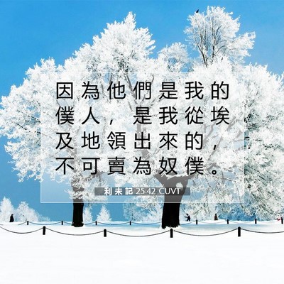 Picture 07 - 利 未 記 25:42 CUVT - 因 為 他 們 是 我 的 僕 人 ， 是 我 - Bible Verse Picture