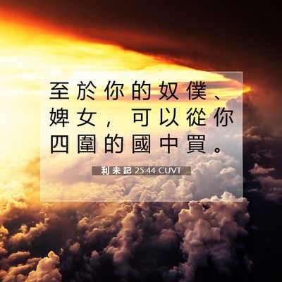 Picture 07 - 利 未 記 25:44 CUVT - 至 於 你 的 奴 僕 、 婢 女 ， 可 以 - Bible Verse Picture