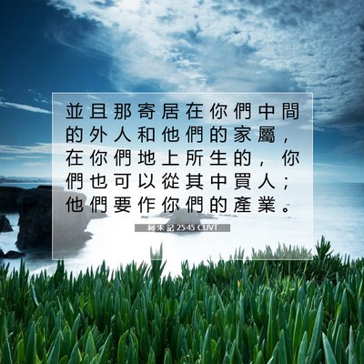 Picture 07 - 利 未 記 25:45 CUVT - 並 且 那 寄 居 在 你 們 中 間 的 外 - Bible Verse Picture