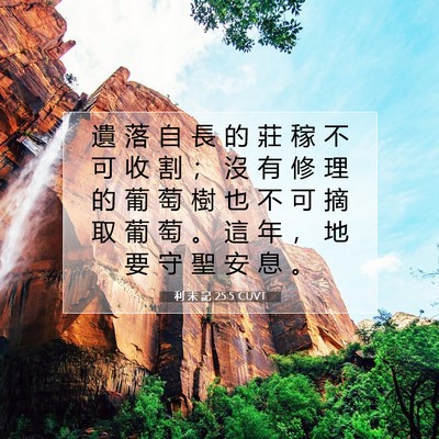 Picture 07 - 利 未 記 25:5 CUVT - 遺 落 自 長 的 莊 稼 不 可 收 割 ； - Bible Verse Picture