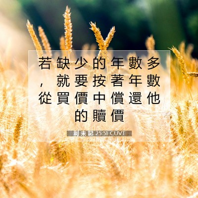 Picture 07 - 利 未 記 25:51 CUVT - 若 缺 少 的 年 數 多 ， 就 要 按 著 - Bible Verse Picture