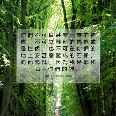 Picture 07 - 利 未 記 26:1 CUVT - 你 們 不 可 做 甚 麼 虛 無 的 神 像 - Bible Verse Picture