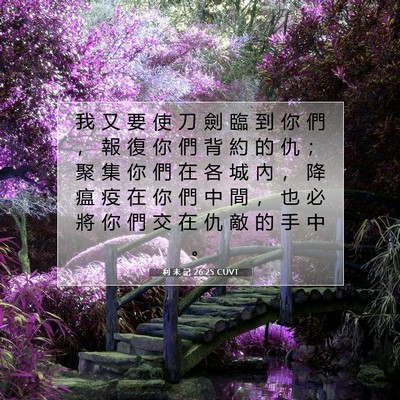 Picture 07 - 利 未 記 26:25 CUVT - 我 又 要 使 刀 劍 臨 到 你 們 ， 報 - Bible Verse Picture
