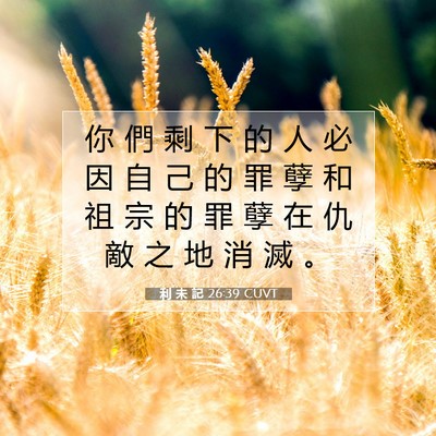 Picture 07 - 利 未 記 26:39 CUVT - 你 們 剩 下 的 人 必 因 自 己 的 罪 - Bible Verse Picture