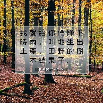 Picture 07 - 利 未 記 26:4 CUVT - 我 就 給 你 們 降 下 時 雨 ， 叫 地 - Bible Verse Picture
