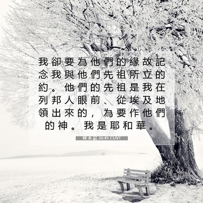 Picture 07 - 利 未 記 26:45 CUVT - 我 卻 要 為 他 們 的 緣 故 記 念 我 - Bible Verse Picture