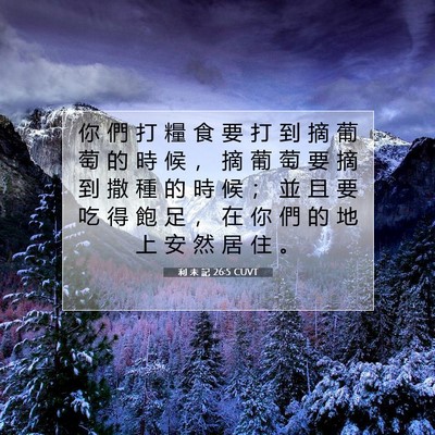 Picture 07 - 利 未 記 26:5 CUVT - 你 們 打 糧 食 要 打 到 摘 葡 萄 的 - Bible Verse Picture