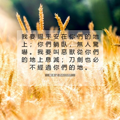 Picture 07 - 利 未 記 26:6 CUVT - 我 要 賜 平 安 在 你 們 的 地 上 ； - Bible Verse Picture