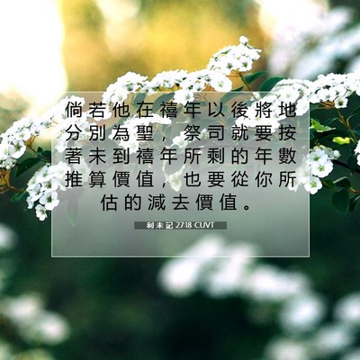 Picture 07 - 利 未 記 27:18 CUVT - 倘 若 他 在 禧 年 以 後 將 地 分 別 - Bible Verse Picture