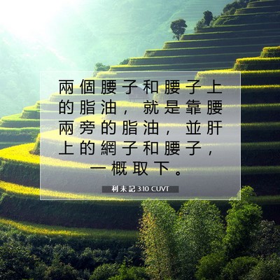 Picture 07 - 利 未 記 3:10 CUVT - 兩 個 腰 子 和 腰 子 上 的 脂 油 ， - Bible Verse Picture