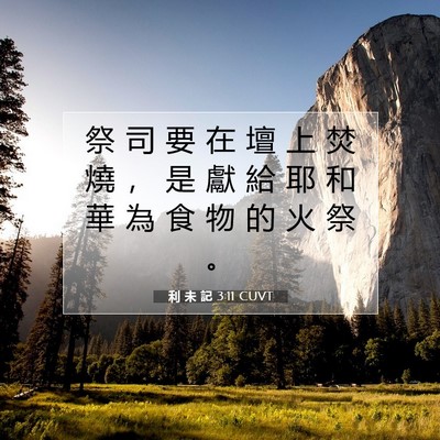 Picture 07 - 利 未 記 3:11 CUVT - 祭 司 要 在 壇 上 焚 燒 ， 是 獻 給 - Bible Verse Picture