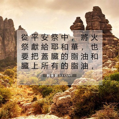 Picture 07 - 利 未 記 3:3 CUVT - 從 平 安 祭 中 ， 將 火 祭 獻 給 耶 - Bible Verse Picture