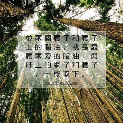 Picture 07 - 利 未 記 3:4 CUVT - 並 兩 個 腰 子 和 腰 子 上 的 脂 油 - Bible Verse Picture