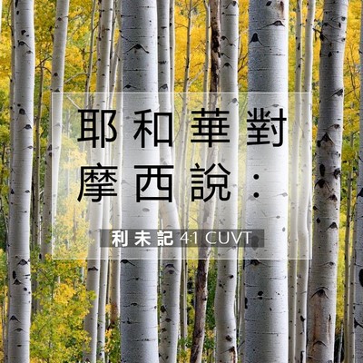 Picture 07 - 利 未 記 4:1 CUVT - 耶 和 華 對 摩 西 說 - Bible Verse Picture