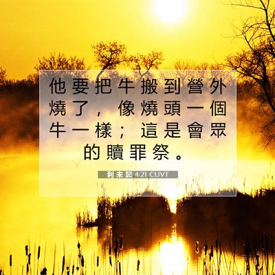 Picture 07 - 利 未 記 4:21 CUVT - 他 要 把 牛 搬 到 營 外 燒 了 ， 像 - Bible Verse Picture