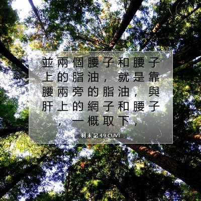 Picture 07 - 利 未 記 4:9 CUVT - 並 兩 個 腰 子 和 腰 子 上 的 脂 油 - Bible Verse Picture