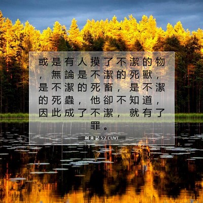 Picture 07 - 利 未 記 5:2 CUVT - 或 是 有 人 摸 了 不 潔 的 物 ， 無 - Bible Verse Picture