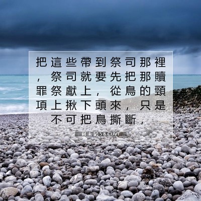 Picture 07 - 利 未 記 5:8 CUVT - 把 這 些 帶 到 祭 司 那 裡 ， 祭 司 - Bible Verse Picture