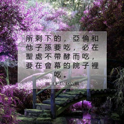 Picture 07 - 利 未 記 6:16 CUVT - 所 剩 下 的 ， 亞 倫 和 他 子 孫 要 - Bible Verse Picture