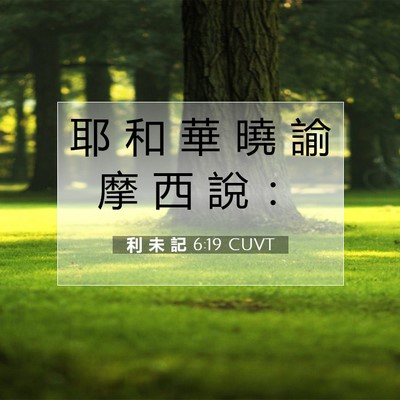 Picture 07 - 利 未 記 6:19 CUVT - 耶 和 華 曉 諭 摩 西 說 - Bible Verse Picture